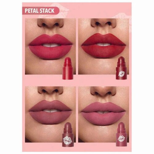 رژلب 4 در 1 شیگلم مدل MEGA LIP STACKS رنگ PETAL STACK